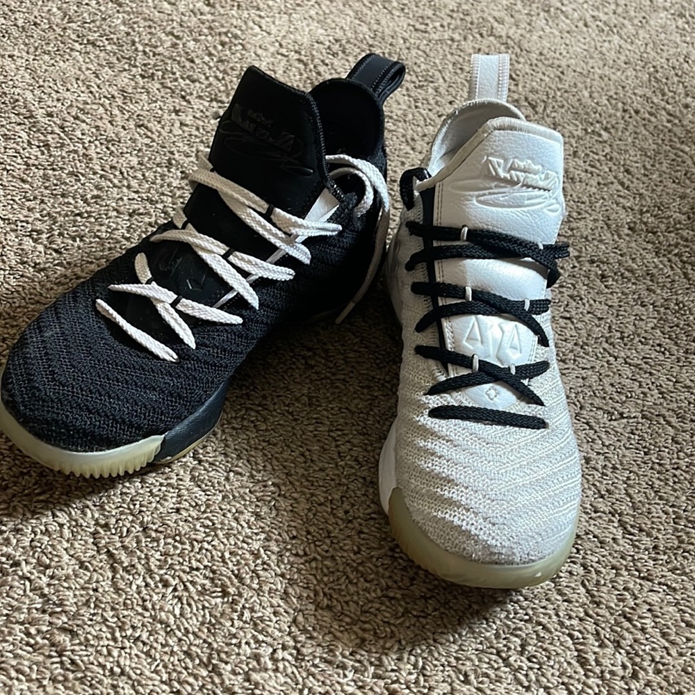 Lebron Equality Nike Sneakers
